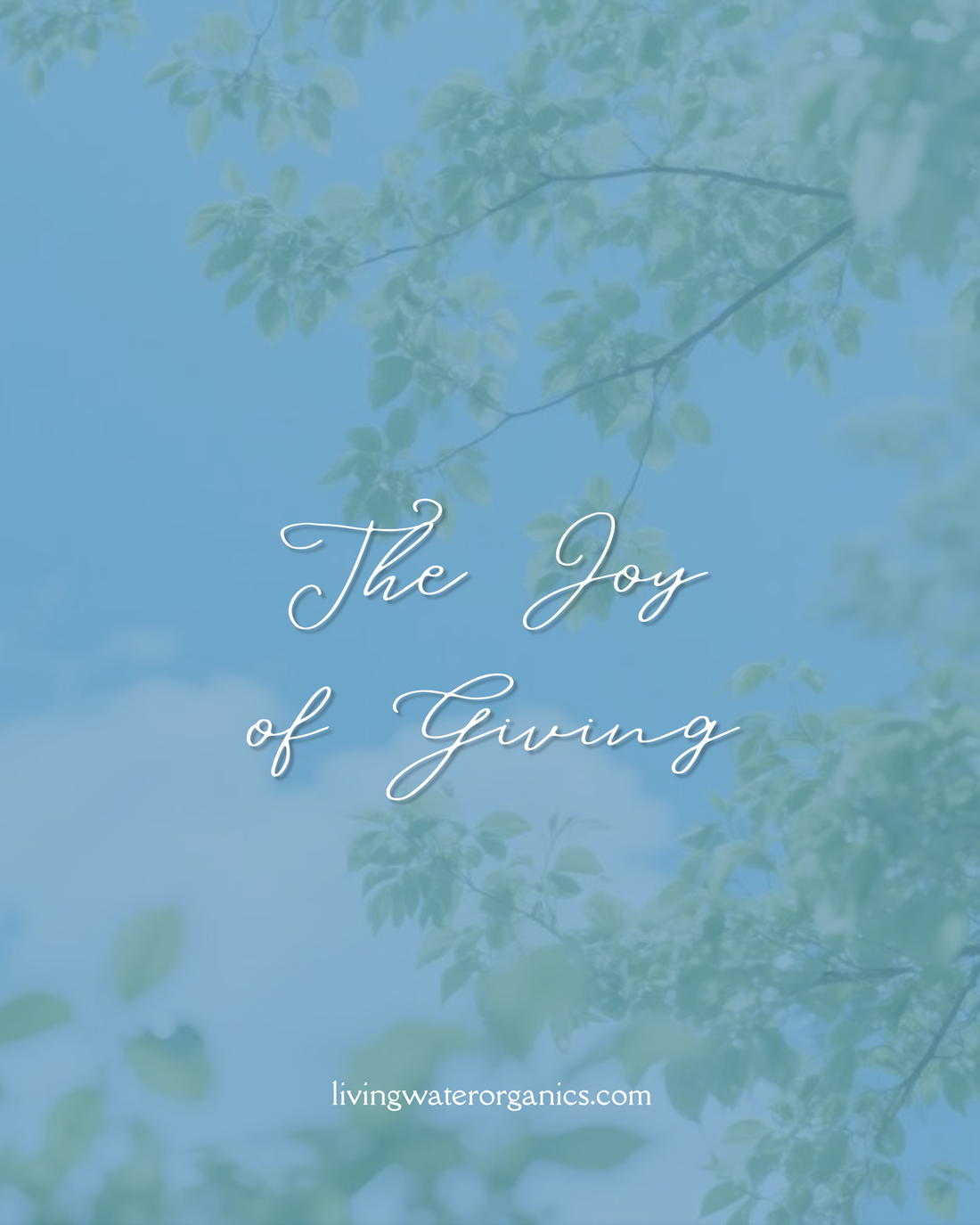 The Joy of Giving
