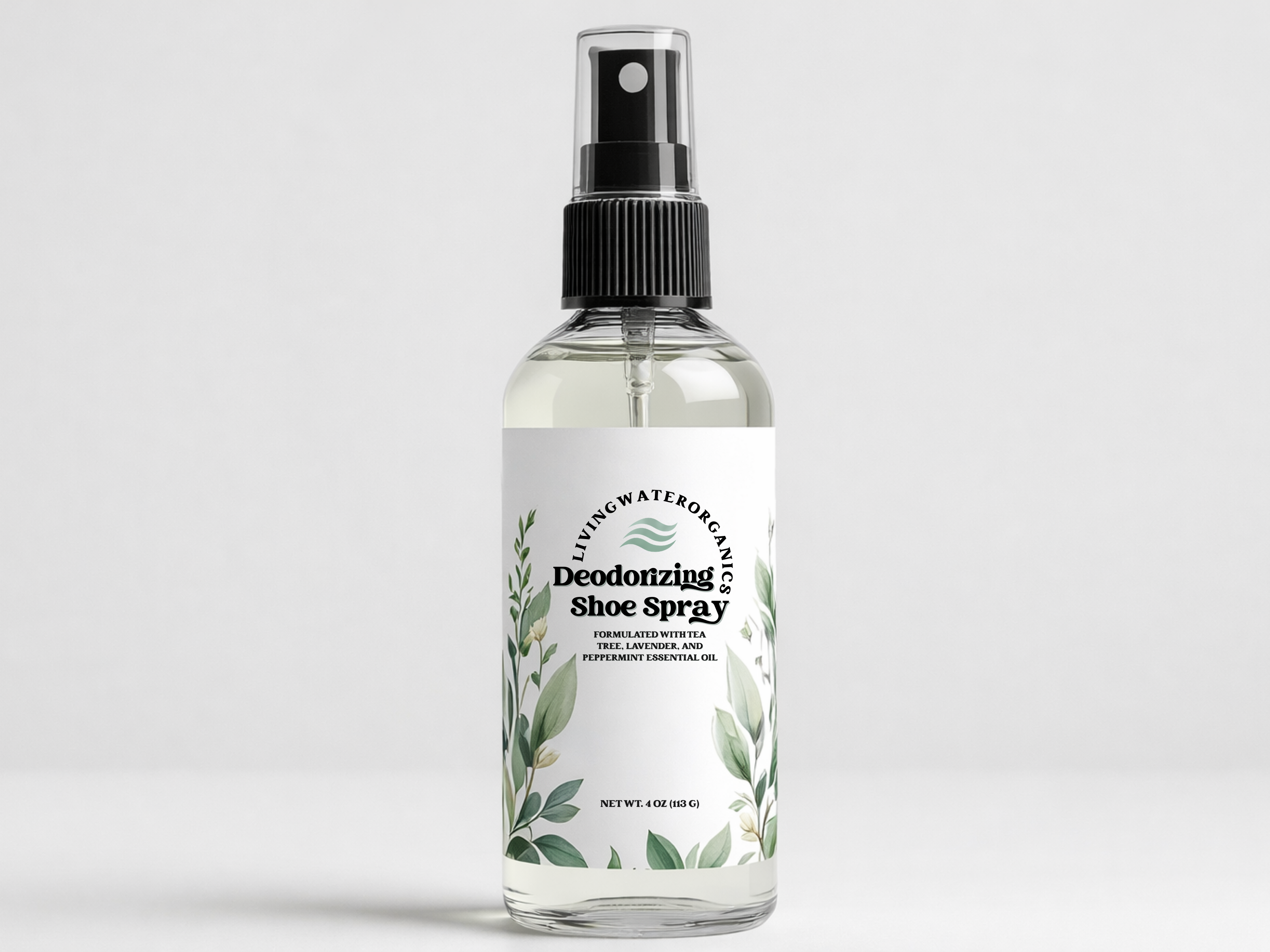 Deodorizing Shoe Spray