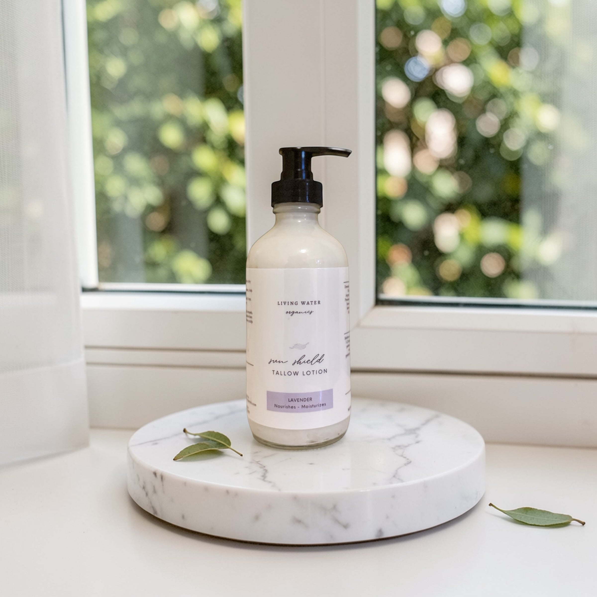 Tallow Sun Shield Lotion