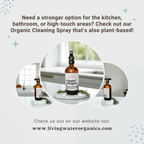Plant Based Screen & Surface Cleaner - Gentle Daily Cleaning Spray