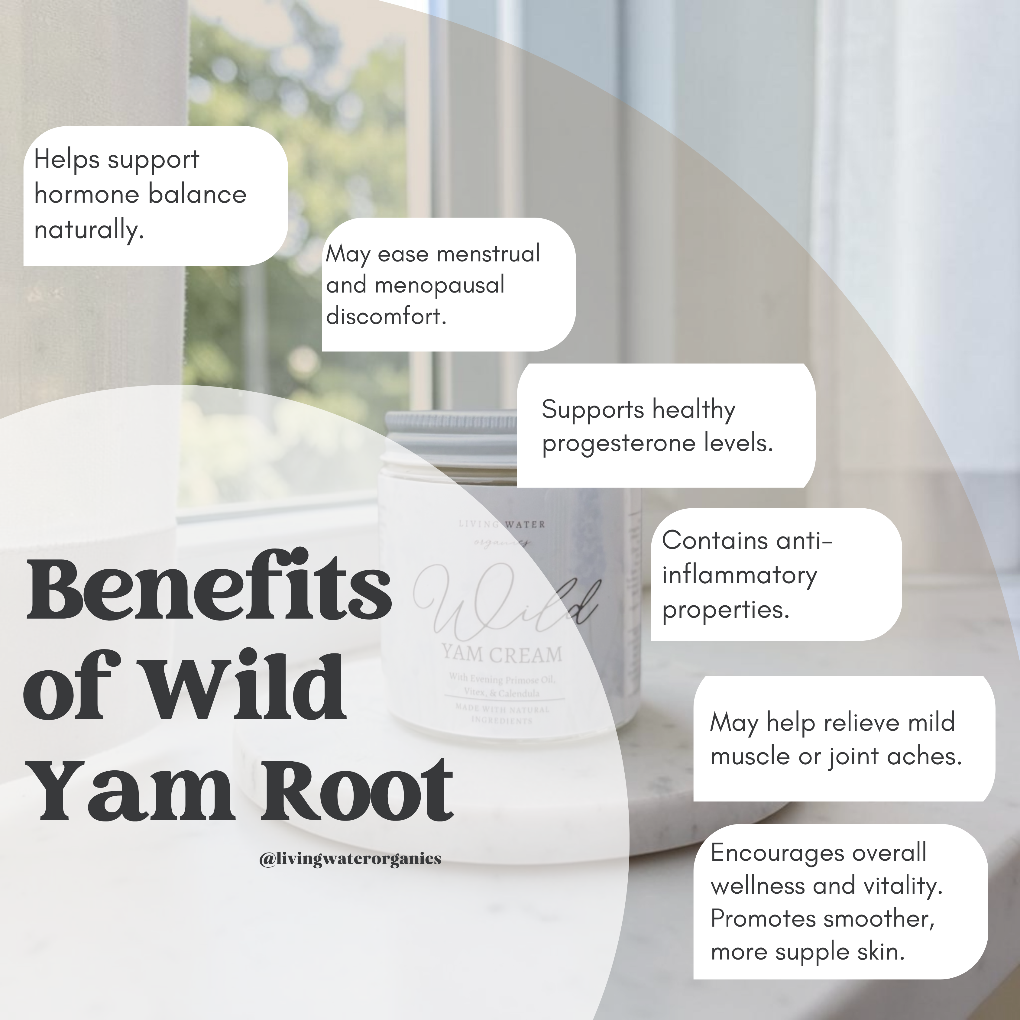 Wild Yam Cream with Evening Primrose & Vitex Extract | Hormone-Supporting Women’s Moisturizer