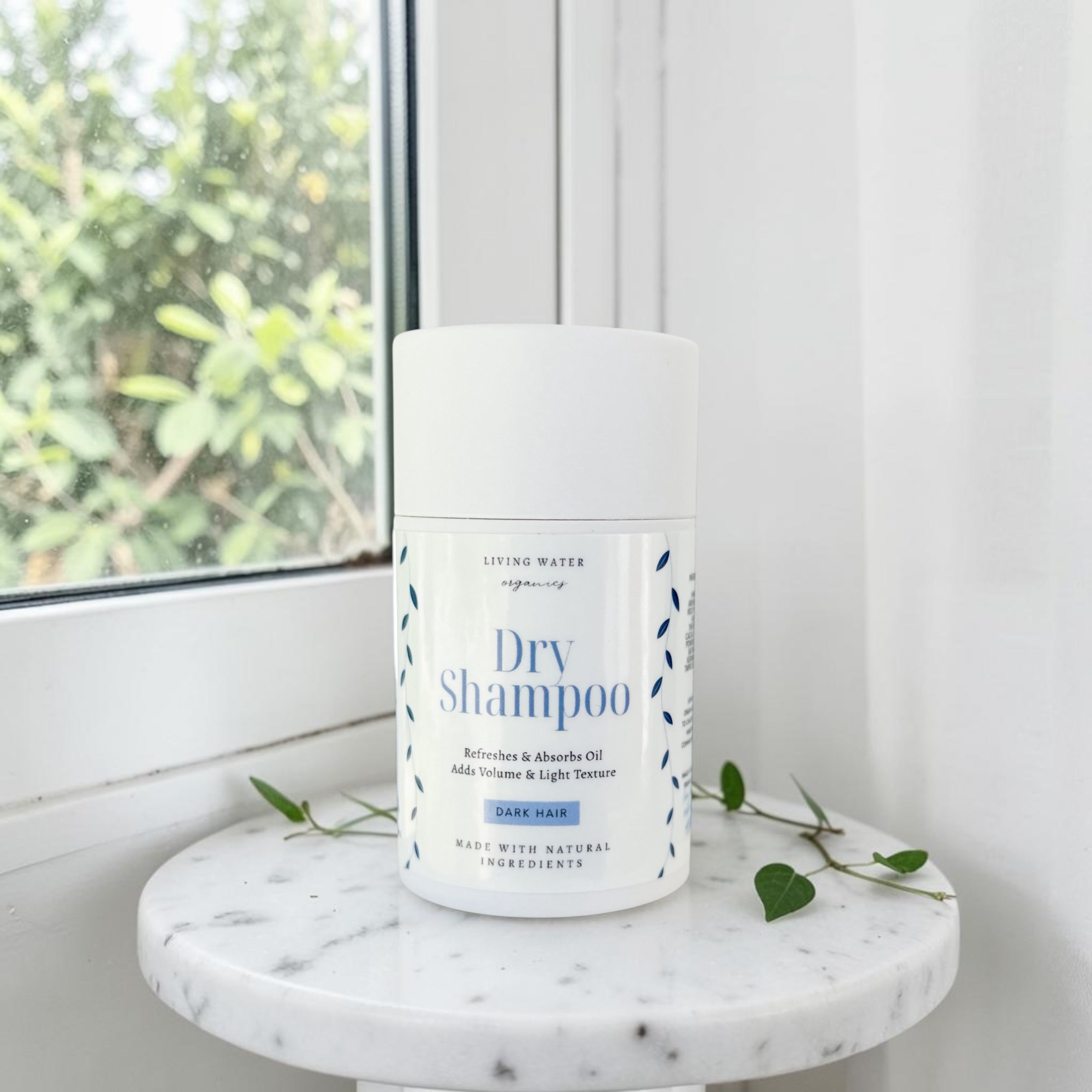 Natural Dry Shampoo for Light or Dark Hair